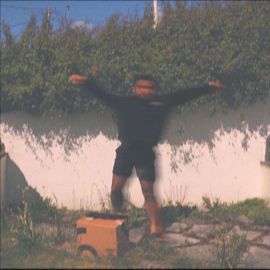 Skov — En dag